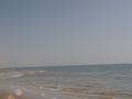 dsc04742.jpg