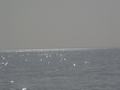 dsc04745.jpg