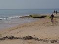 dsc04754.jpg