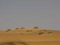 dsc04755.jpg