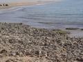 dsc04762.jpg