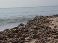 dsc04765.jpg