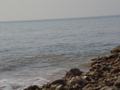 dsc04766.jpg