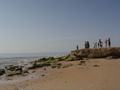 dsc04768.jpg