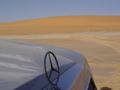 dsc04777.jpg