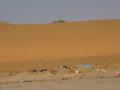 dsc04779.jpg