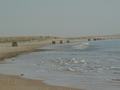 dsc04785.jpg