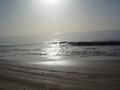 dsc04804.jpg