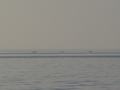 dsc04806.jpg