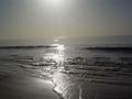dsc04807.jpg