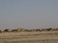 dsc04812.jpg
