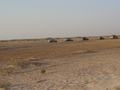 dsc04829.jpg