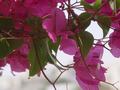 dsc04862.jpg