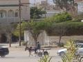 dsc04869.jpg
