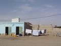 dsc04920.jpg