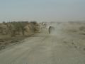 dsc04990.jpg