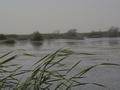 dsc04998.jpg