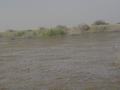 dsc05001.jpg