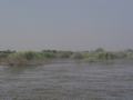 dsc05002.jpg