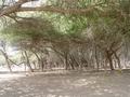 dsc05029.jpg