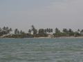 dsc05098.jpg