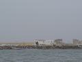 dsc05104.jpg