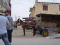 dsc05140.jpg