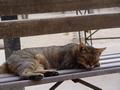 dsc05174.jpg