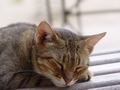dsc05175.jpg