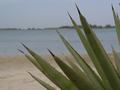 dsc05217.jpg