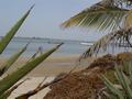 dsc05218.jpg