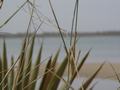 dsc05219.jpg