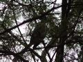 dsc05226.jpg