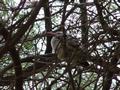 dsc05230.jpg