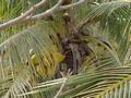 dsc05252.jpg