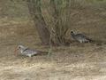 dsc05256.jpg