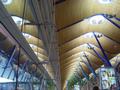 dsc05277.jpg